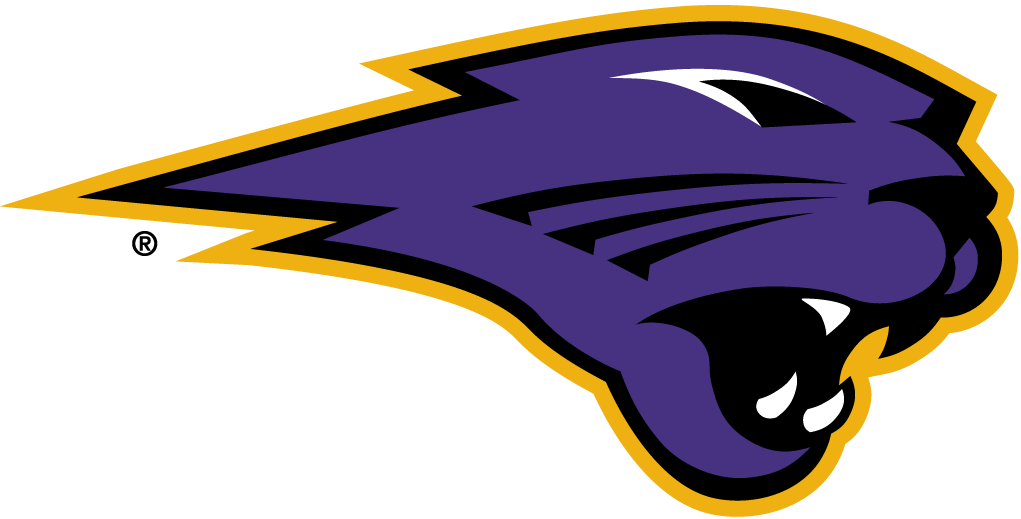 Northern Iowa Panthers 2002-Pres Partial Logo v4 iron on transfers for T-shirts
